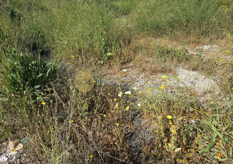 Building Plot in Gerovouno, Kamatero