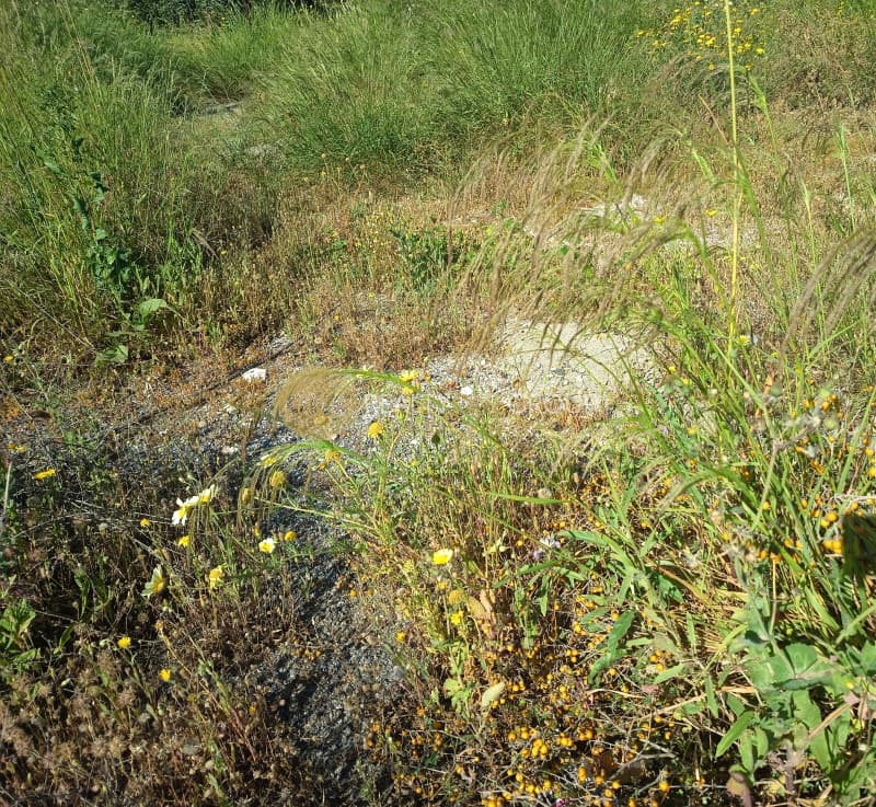 Building Plot in Gerovouno, Kamatero