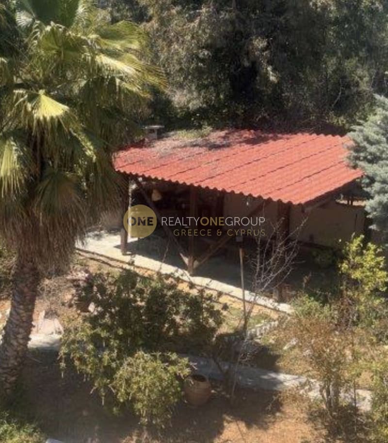 Apartment in Agia Paraskevi, Agios Stefanos — Photo 20 of 22