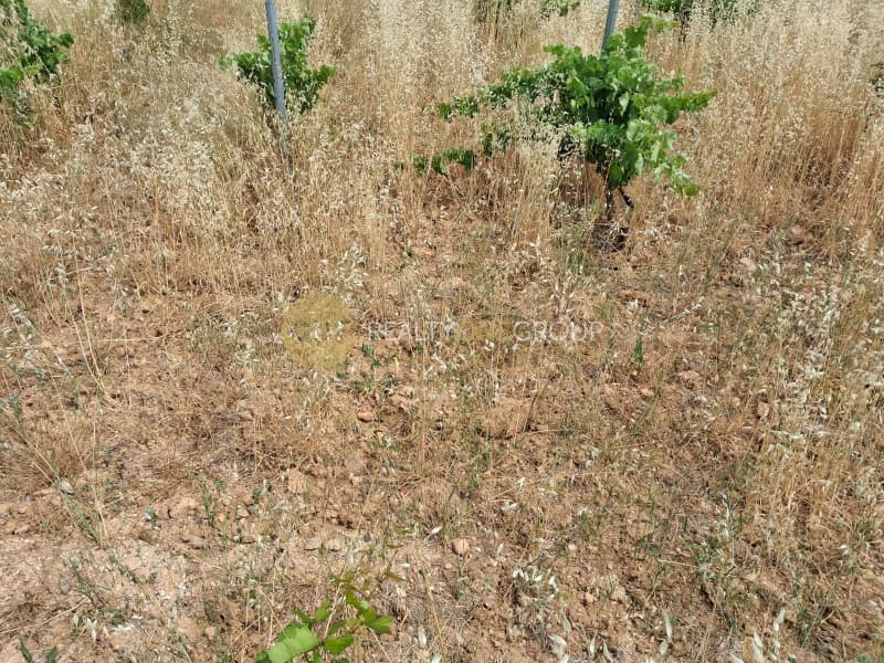 Οικόπεδο στην Κέντρο, Κορωπί — Φωτογραφία 3 από 3