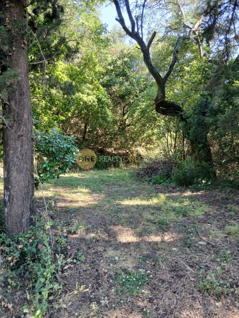 Building Plot in Achilleio, Corfu — Photo 5 of 8