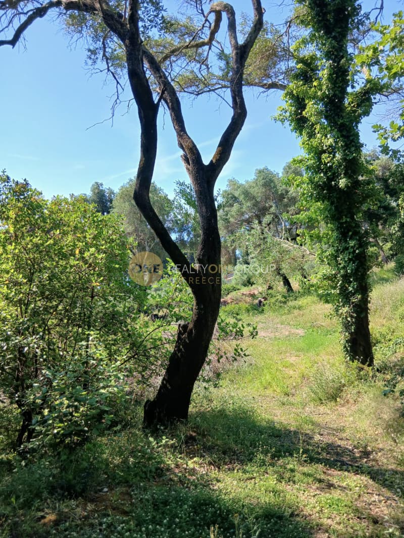 Building Plot in Achilleio, Corfu — Photo 4 of 8