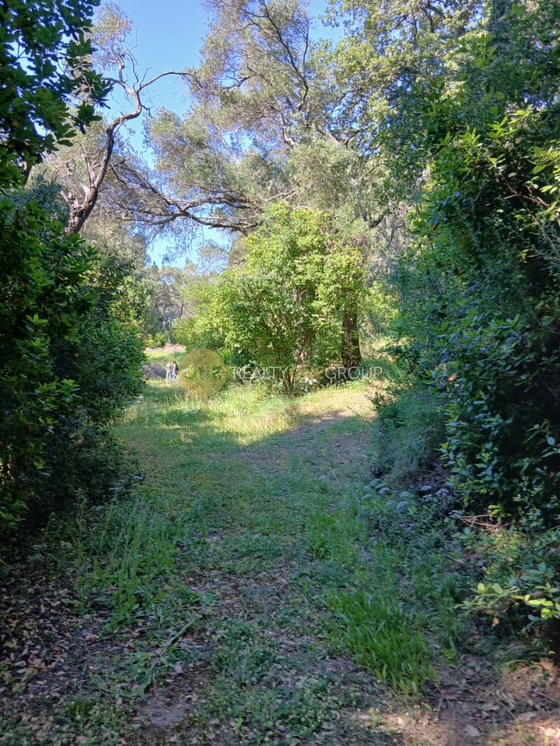 Parcel in Achilleio, Corfu — Photo 3 of 8