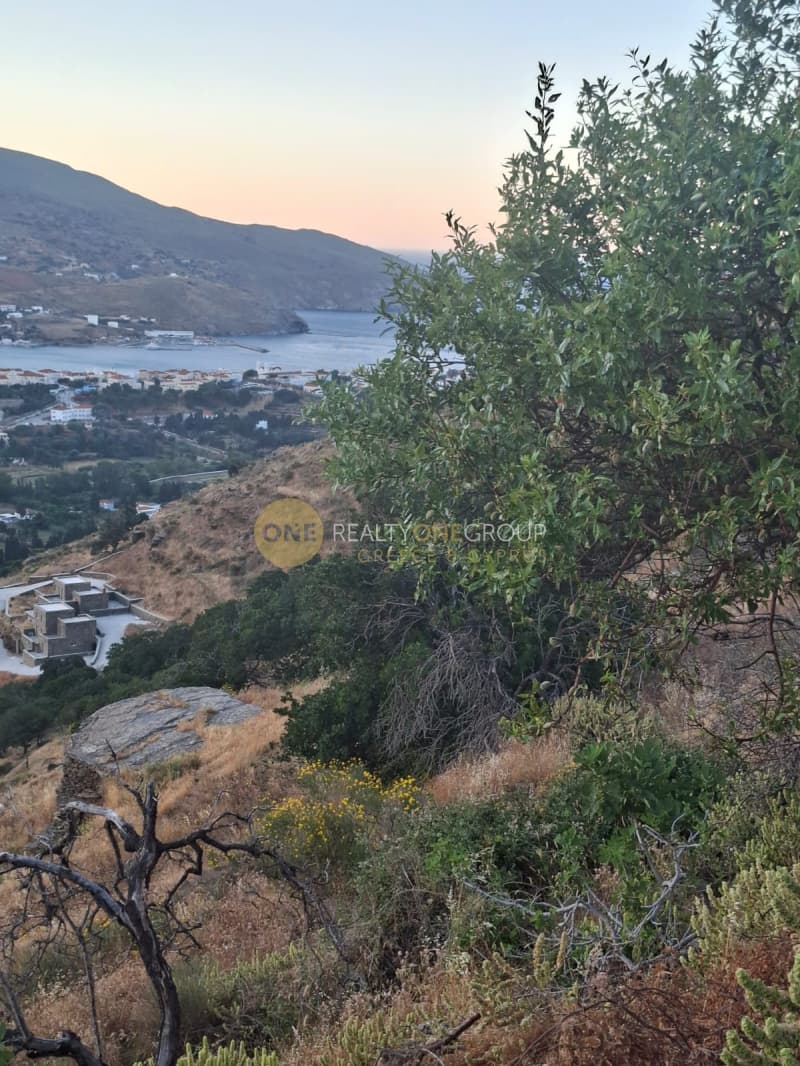 Αγροτεμάχιο στην Λιβάδια, Άνδρος — Φωτογραφία 12 από 20