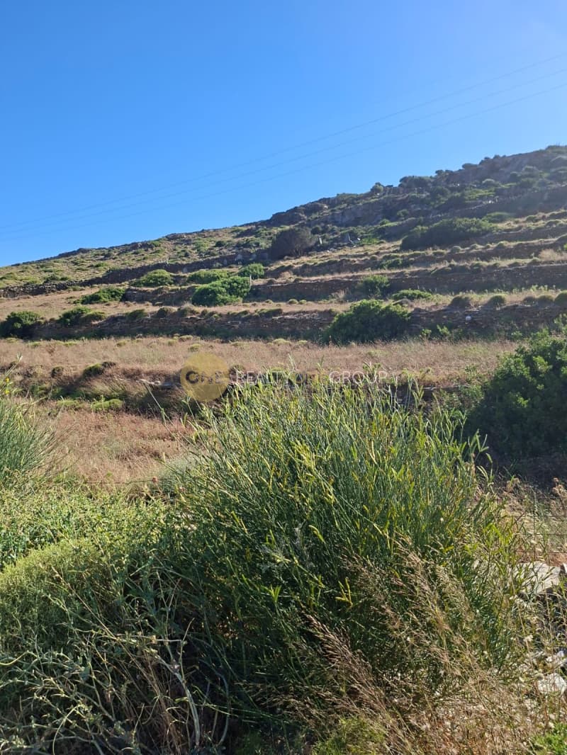 Parcel in Korthio, Andros — Photo 7 of 16