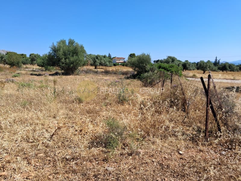 Αγροτεμάχιο στην Κάτω Χαρβάτι, Παλλήνη — Φωτογραφία 1 από 6