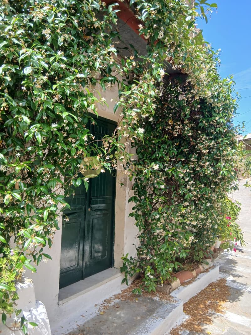 House in Melitieoi, Corfu — Photo 15 of 22