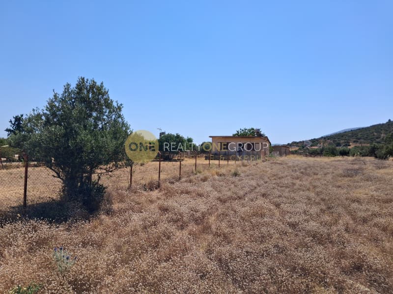 Αγροτεμάχιο στην Λεωφ. Βάρης Κορωπίου, Κορωπί — Φωτογραφία 8 από 8