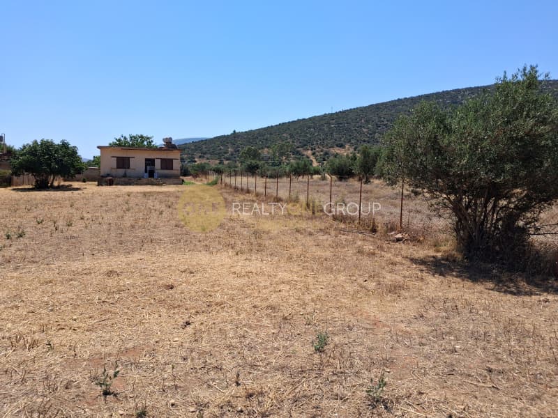 Αγροτεμάχιο στην Λεωφ. Βάρης Κορωπίου, Κορωπί — Φωτογραφία 2 από 8