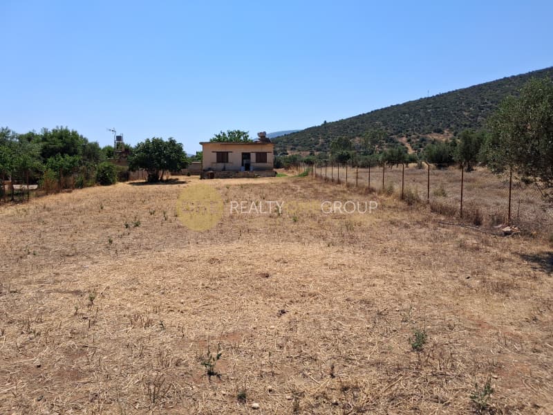 Αγροτεμάχιο στην Λεωφ. Βάρης Κορωπίου, Κορωπί — Φωτογραφία 4 από 8