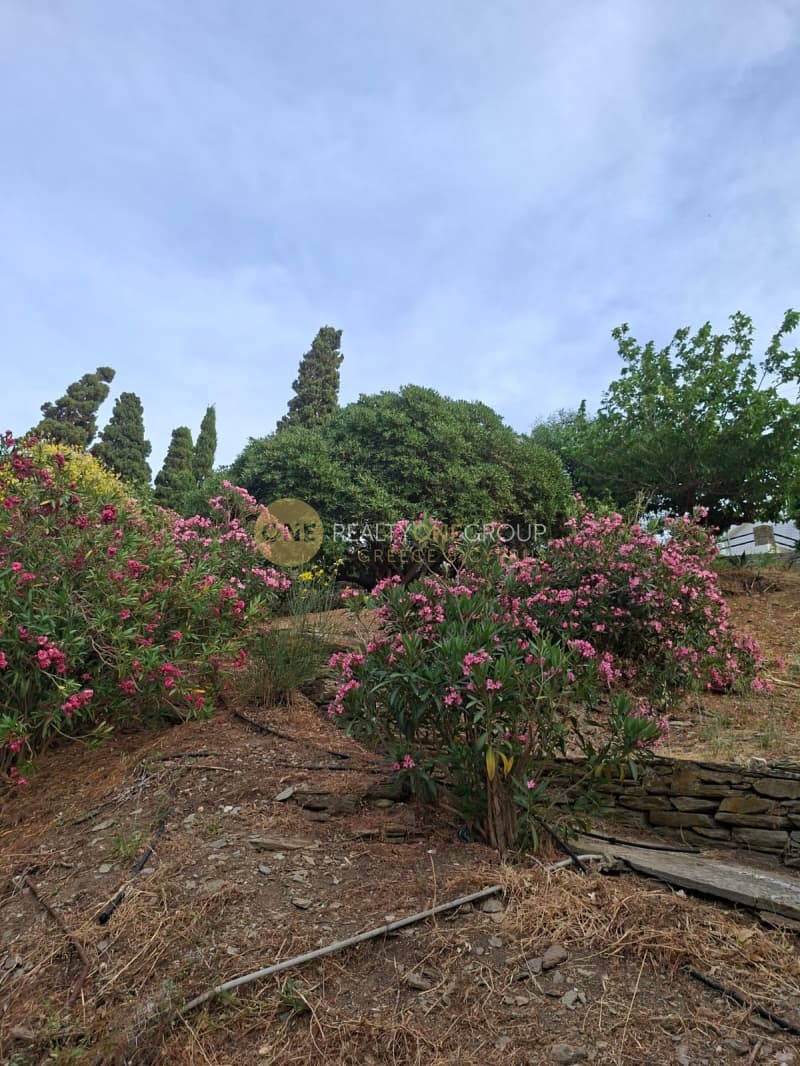Building Plot in Mpatsi, Andros — Photo 9 of 17