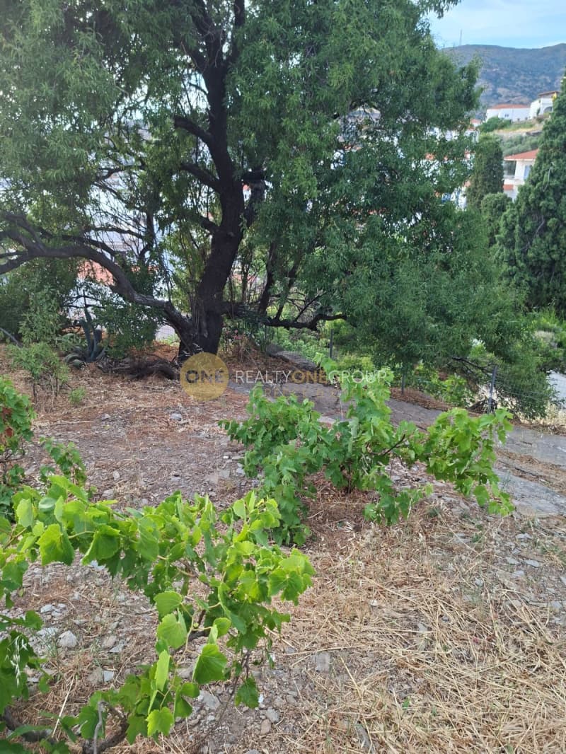 Building Plot in Mpatsi, Andros — Photo 2 of 17