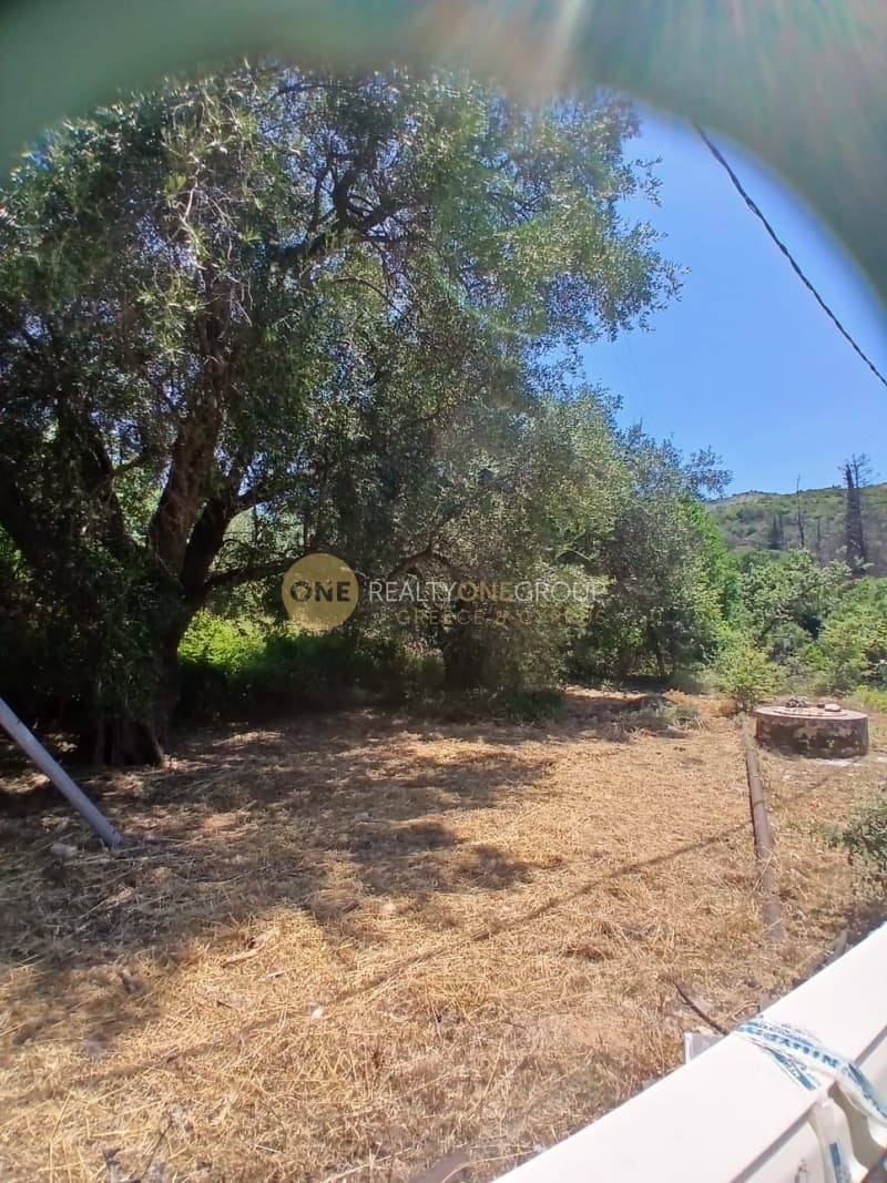 Οικόπεδο στην Κασσιόπη, Κέρκυρα — Φωτογραφία 9 από 10