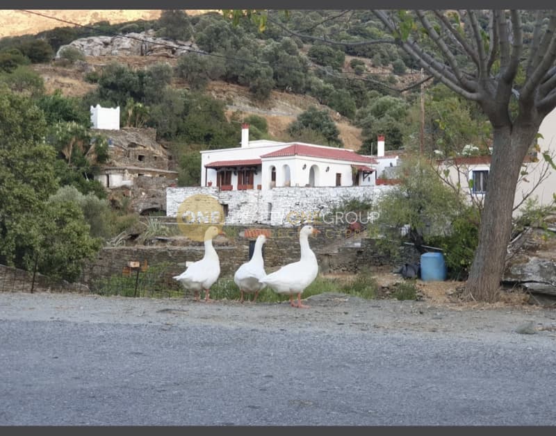 Μονοκατοικία στην Αλαδινό, Άνδρος — Φωτογραφία 19 από 20
