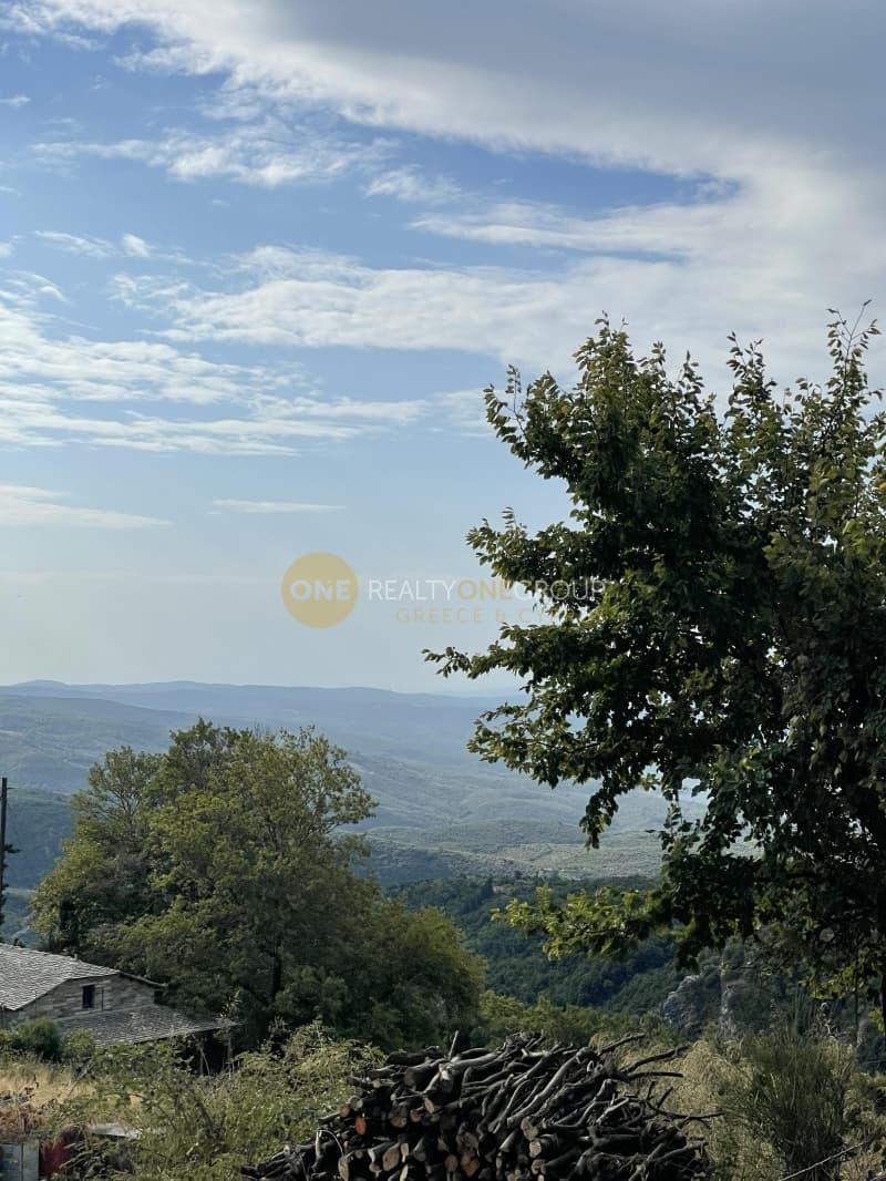 Μονοκατοικία στην Βυζίτσα, Μηλιές — Φωτογραφία 11 από 12
