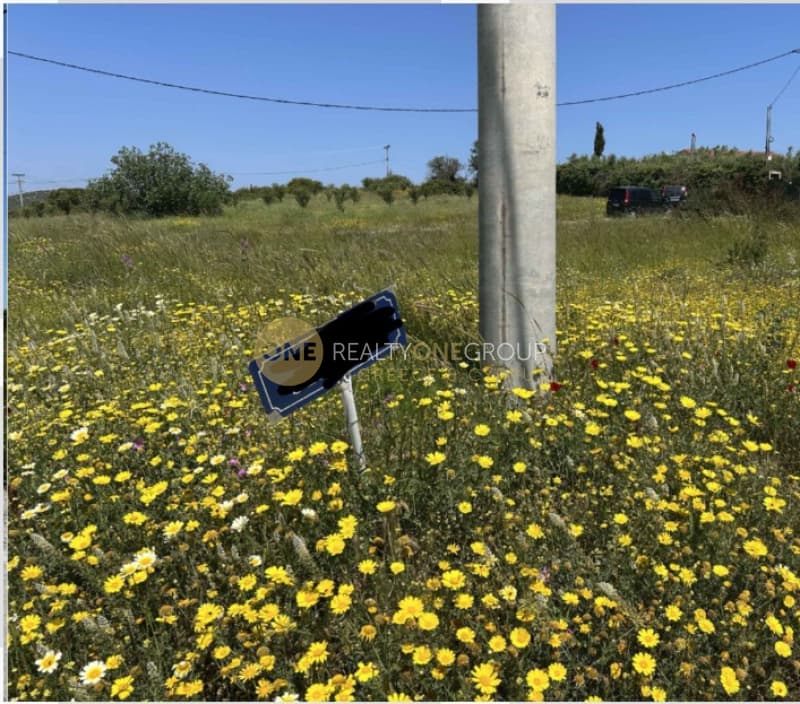 Οικόπεδο στην Αγία Τριάδα, Μαρκόπουλο — Φωτογραφία 3 από 5
