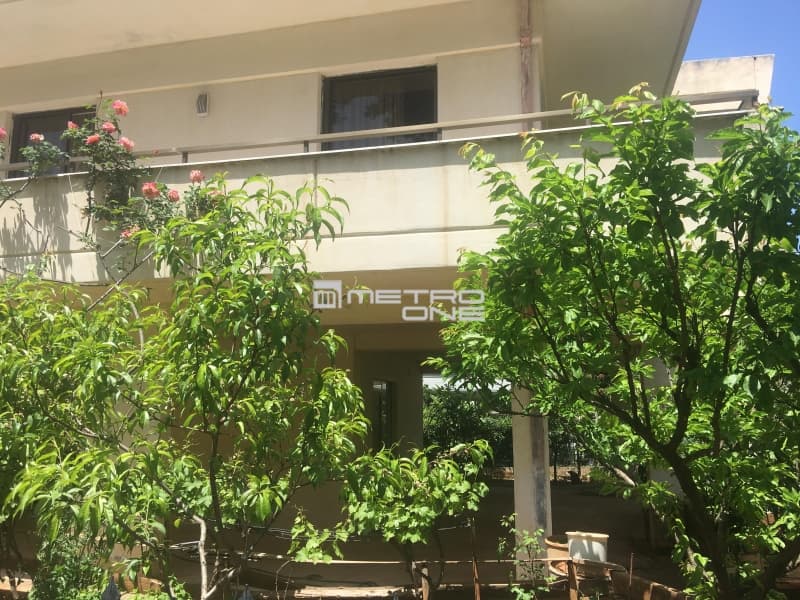 Μονοκατοικία στην Δροσιά, Δροσιά — Φωτογραφία 3 από 23