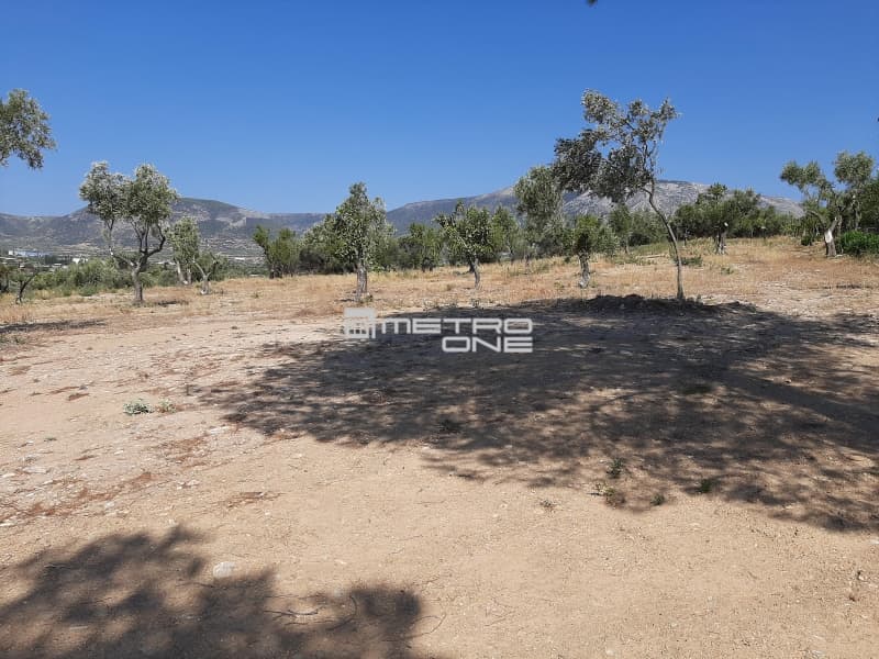 Οικόπεδο στην Κέντρο, Κορωπί — Φωτογραφία 1 από 11