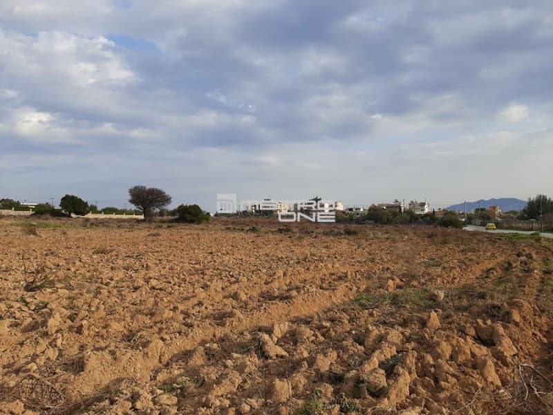 Parcel in Ikismos Aiolos, Rafina — Photo 4 of 4