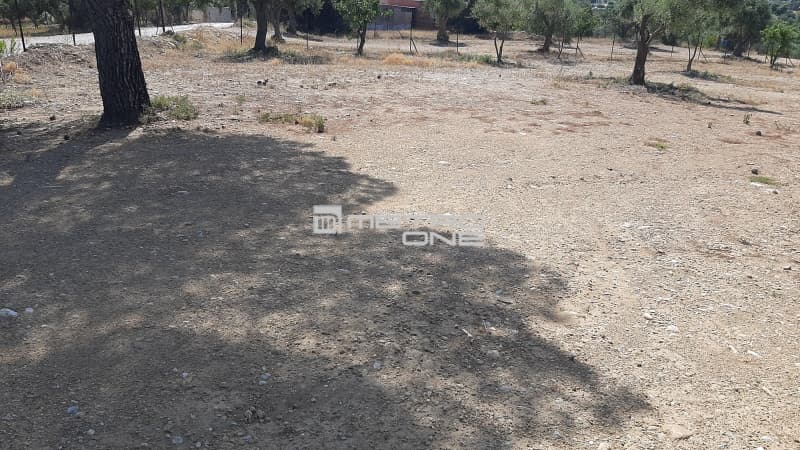Οικόπεδο στην Κέντρο, Κορωπί — Φωτογραφία 3 από 10