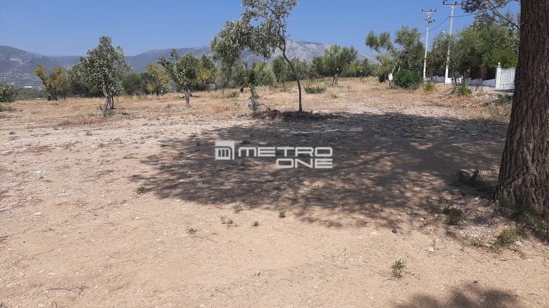 Οικόπεδο στην Κέντρο, Κορωπί — Φωτογραφία 4 από 10