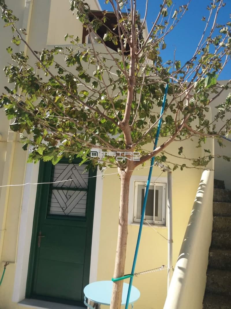 Μονοκατοικία στην Χώρα, Άνδρος — Φωτογραφία 3 από 13
