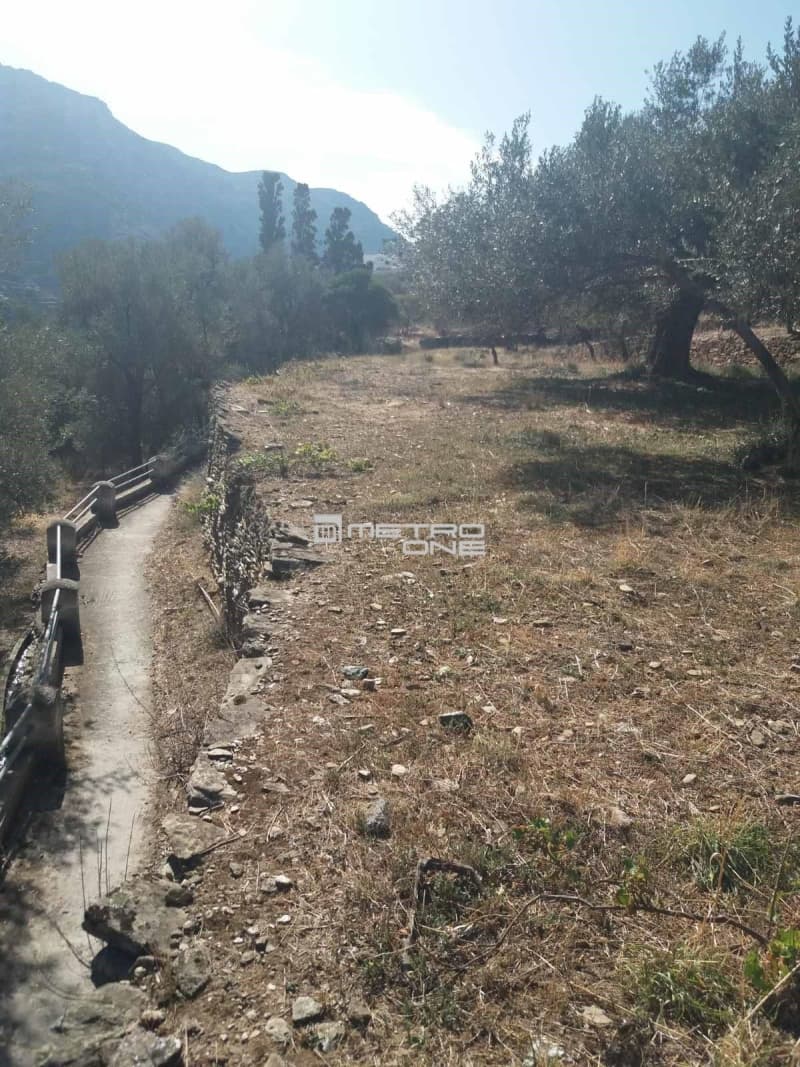 Αγροτεμάχιο στην Χώρα, Άνδρος — Φωτογραφία 16 από 19