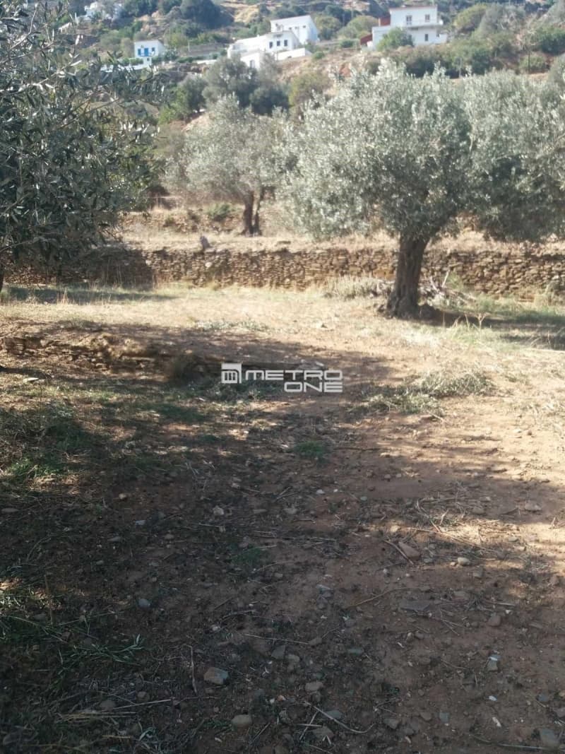 Αγροτεμάχιο στην Χώρα, Άνδρος — Φωτογραφία 17 από 19