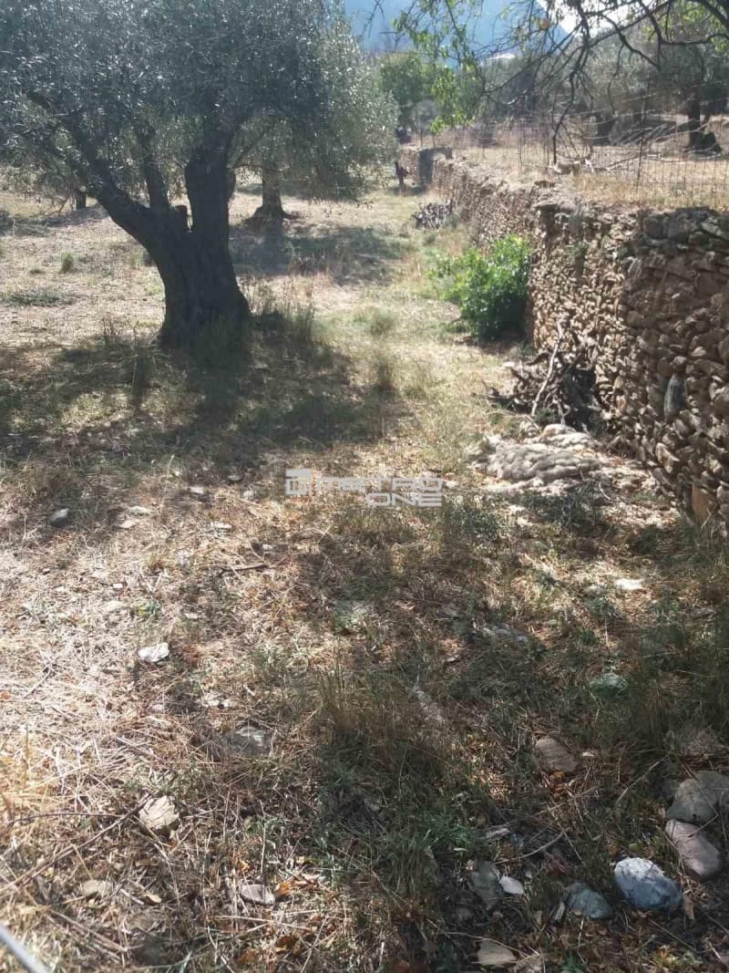 Αγροτεμάχιο στην Χώρα, Άνδρος — Φωτογραφία 4 από 19