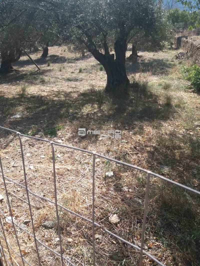 Αγροτεμάχιο στην Χώρα, Άνδρος — Φωτογραφία 5 από 19