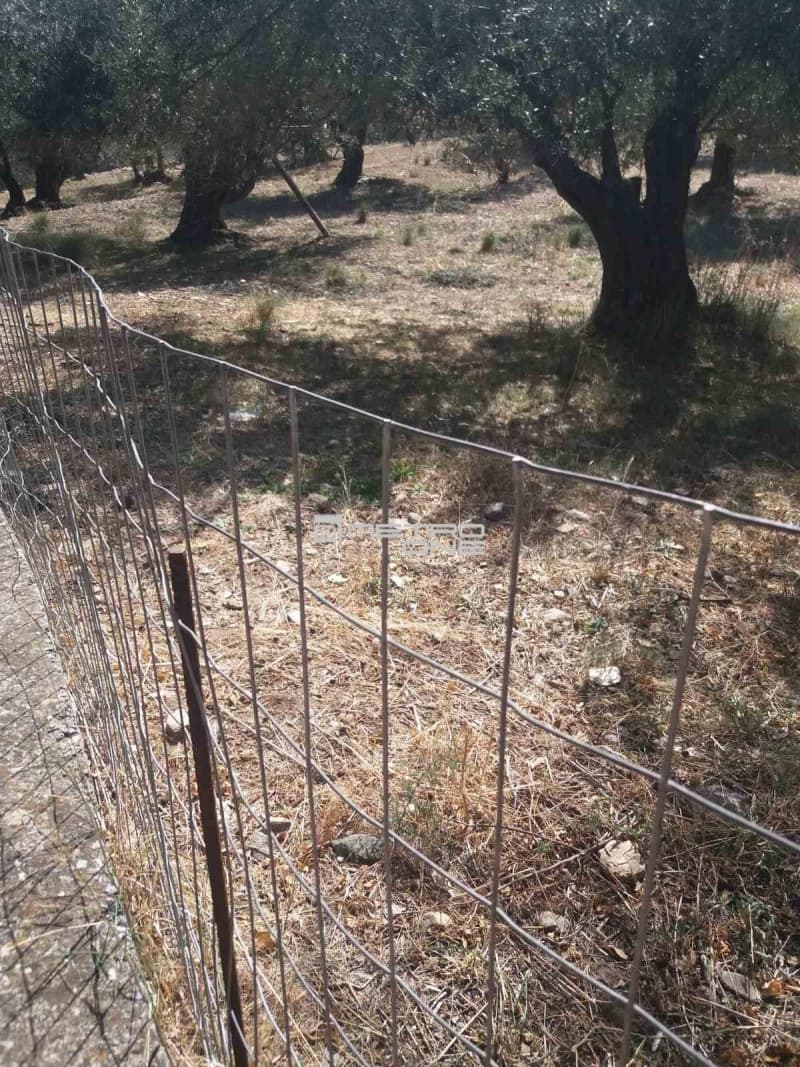 Αγροτεμάχιο στην Χώρα, Άνδρος — Φωτογραφία 7 από 19