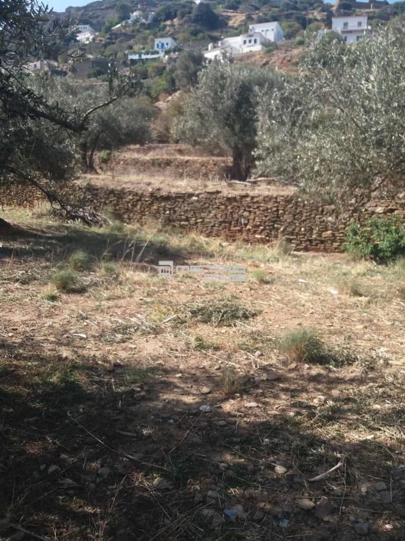 Αγροτεμάχιο στην Χώρα, Άνδρος — Φωτογραφία 9 από 19