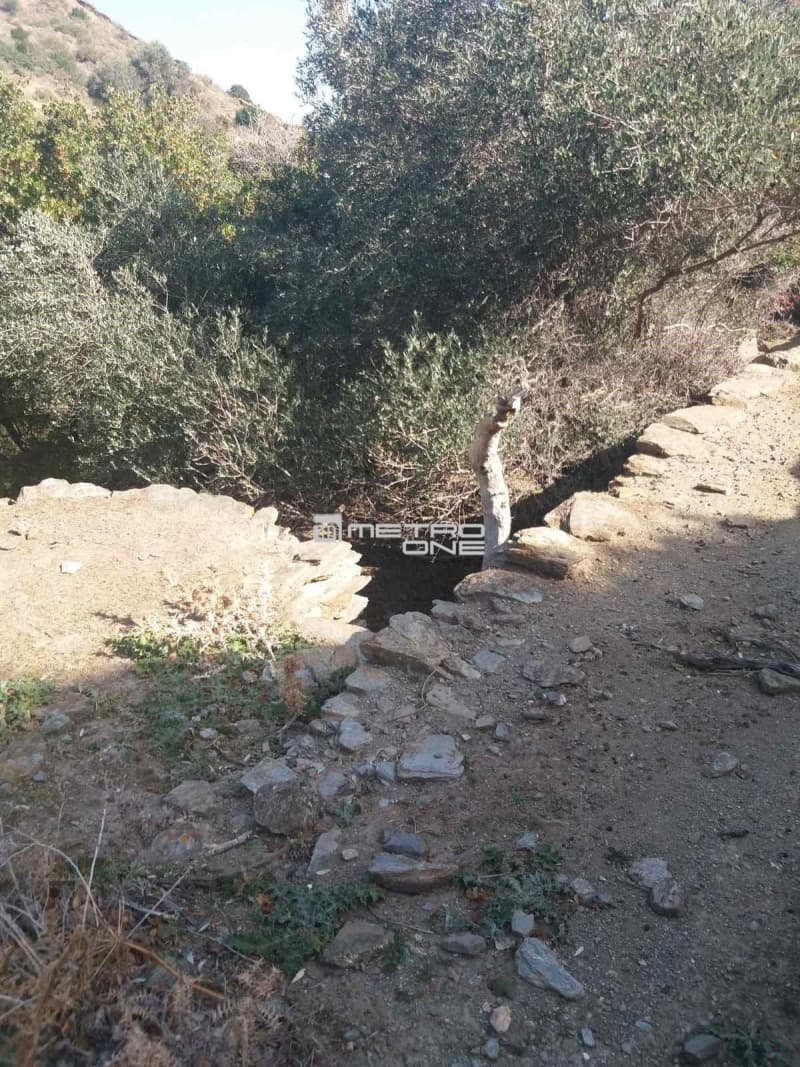 Αγροτεμάχιο στην Χώρα, Άνδρος — Φωτογραφία 9 από 9