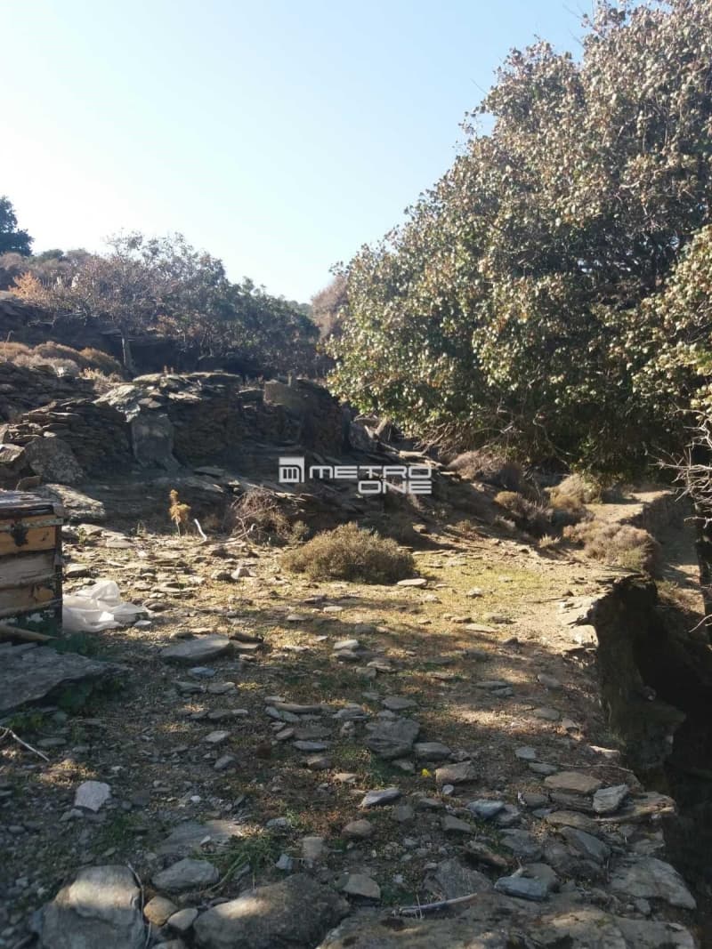 Αγροτεμάχιο στην Χώρα, Άνδρος — Φωτογραφία 6 από 9