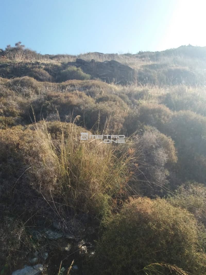 Αγροτεμάχιο στην Συνέτι, Άνδρος — Φωτογραφία 8 από 10