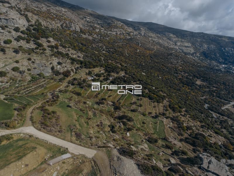 Αγροτεμάχιο στην Άνω Γαύριο, Άνδρος — Φωτογραφία 10 από 18