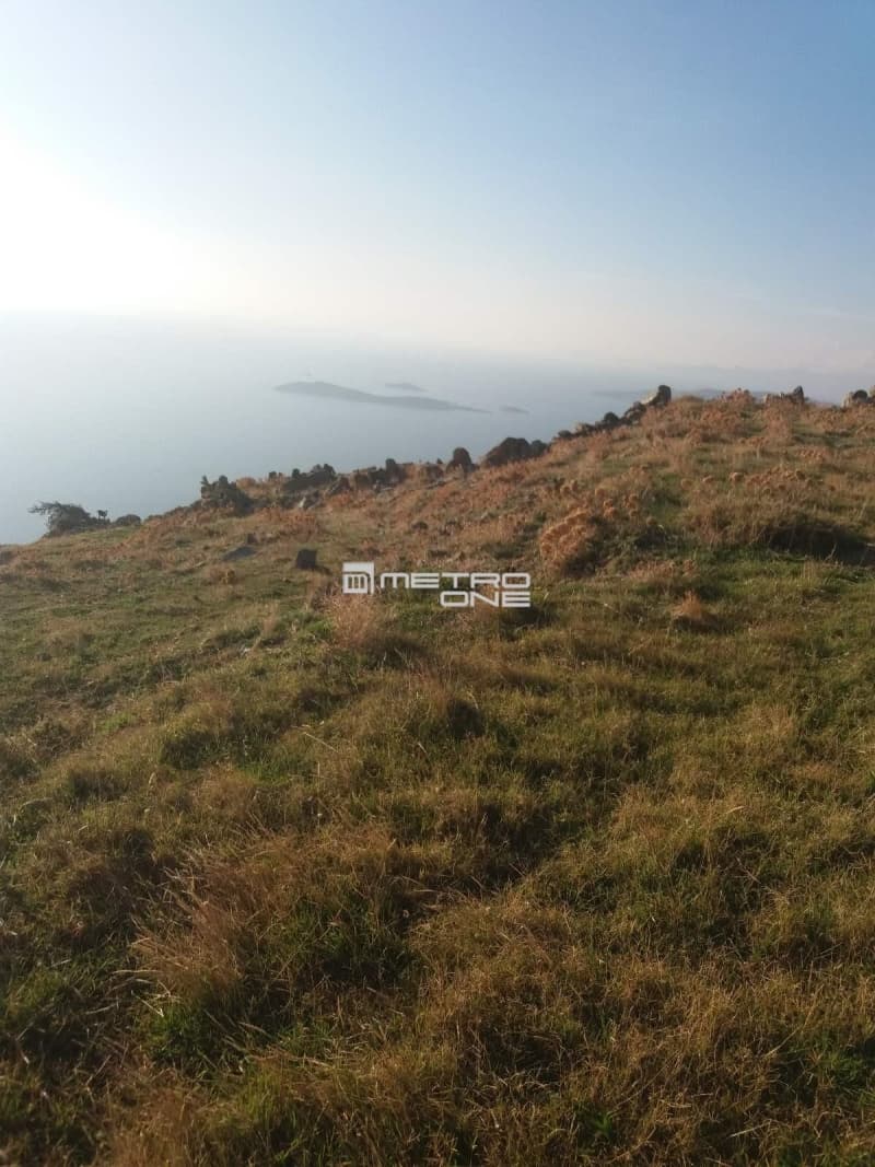 Αγροτεμάχιο στην Άνω Γαύριο, Άνδρος — Φωτογραφία 9 από 24