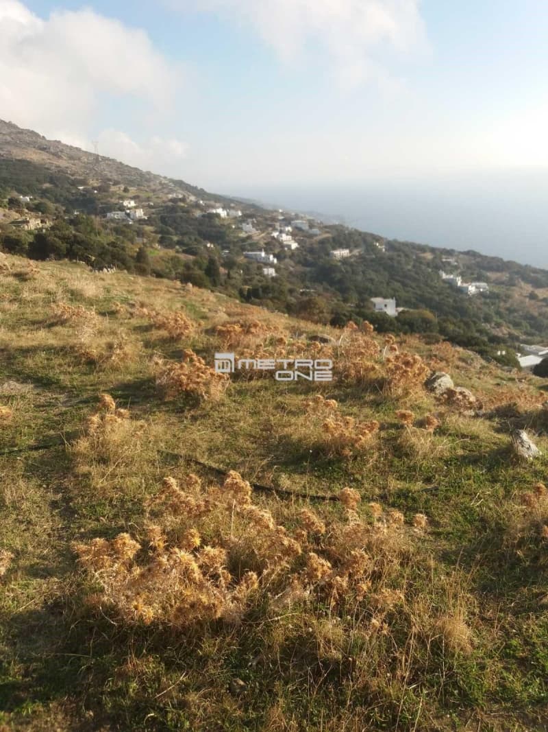 Αγροτεμάχιο στην Άνω Γαύριο, Άνδρος — Φωτογραφία 11 από 24