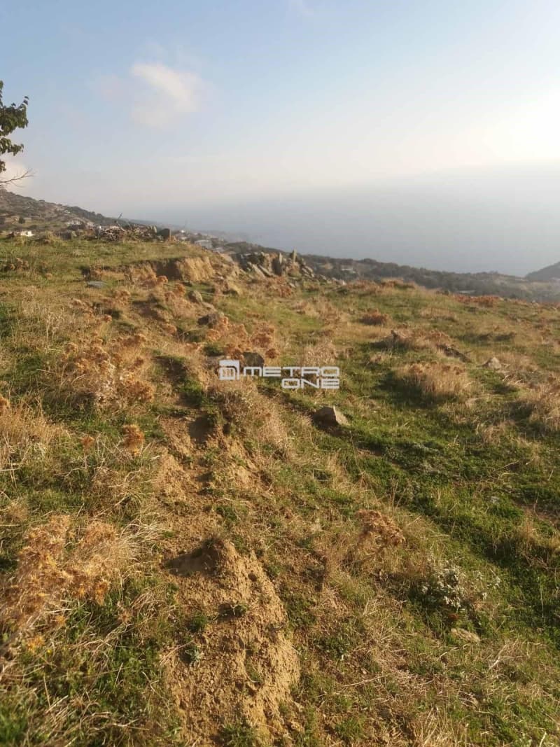 Αγροτεμάχιο στην Άνω Γαύριο, Άνδρος — Φωτογραφία 13 από 24