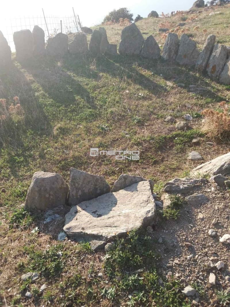 Αγροτεμάχιο στην Άνω Γαύριο, Άνδρος — Φωτογραφία 14 από 24