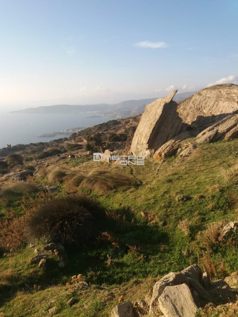Αγροτεμάχιο στην Άνω Γαύριο, Άνδρος — Φωτογραφία 17 από 24