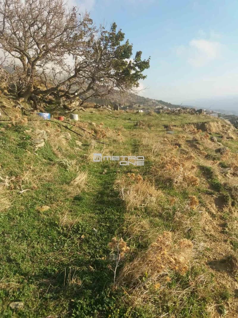 Αγροτεμάχιο στην Άνω Γαύριο, Άνδρος — Φωτογραφία 18 από 24