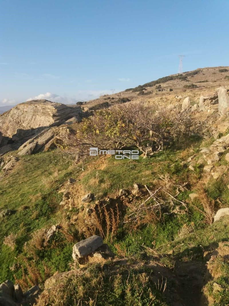 Αγροτεμάχιο στην Άνω Γαύριο, Άνδρος — Φωτογραφία 19 από 24