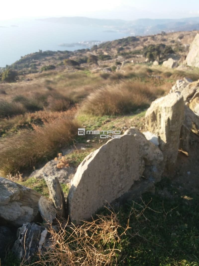 Αγροτεμάχιο στην Άνω Γαύριο, Άνδρος — Φωτογραφία 24 από 24