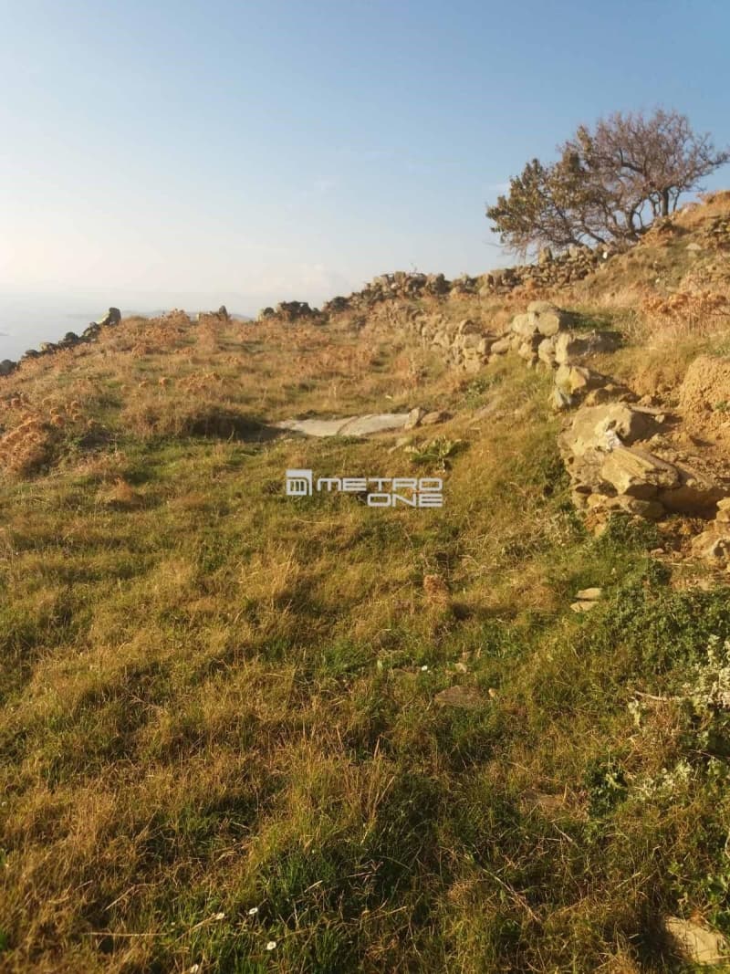Αγροτεμάχιο στην Άνω Γαύριο, Άνδρος — Φωτογραφία 6 από 24