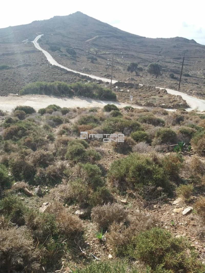Αγροτεμάχιο στην Άνω Γαύριο, Άνδρος — Φωτογραφία 4 από 9