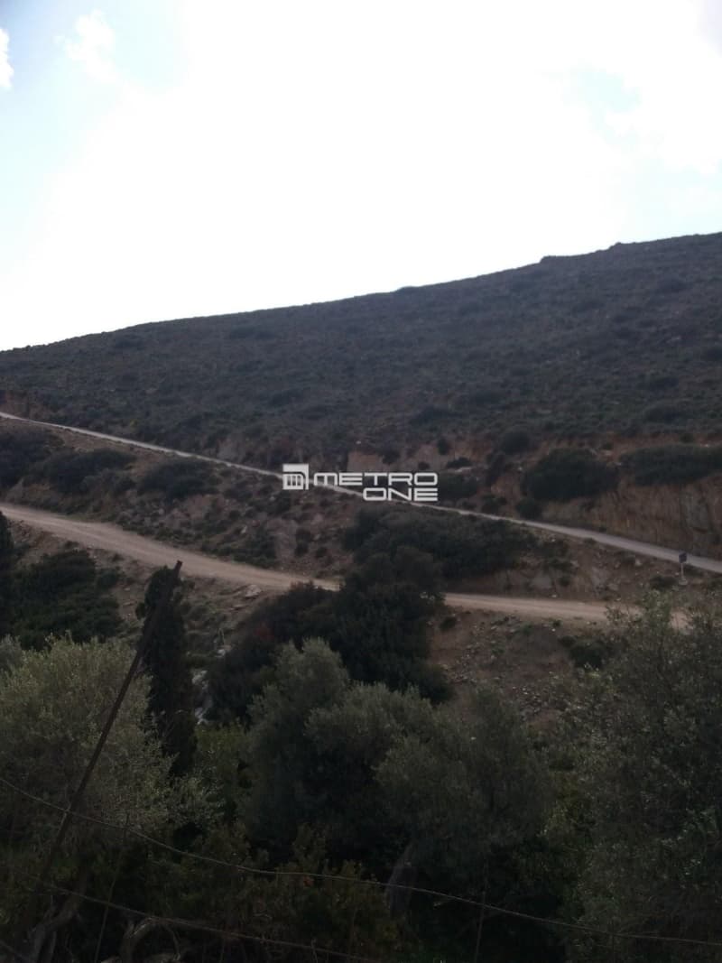 Αγροτεμάχιο στην Άνω Γαύριο, Άνδρος — Φωτογραφία 7 από 9