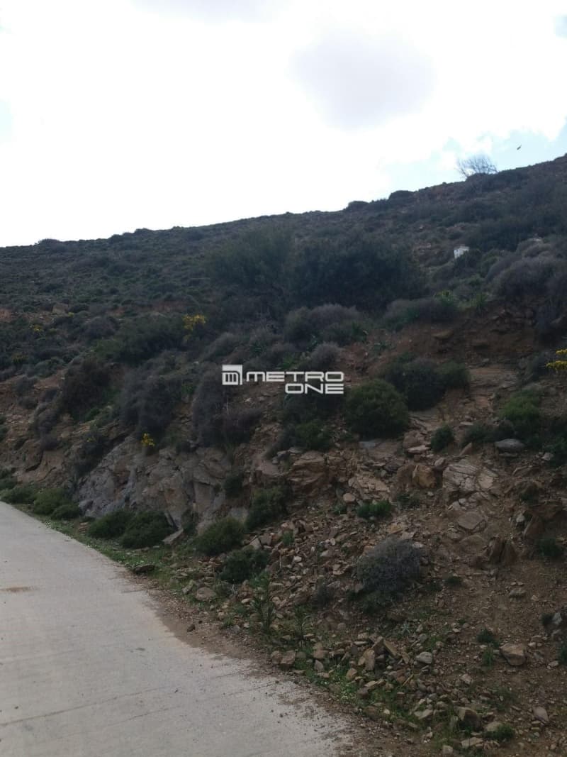 Αγροτεμάχιο στην Άνω Γαύριο, Άνδρος — Φωτογραφία 8 από 9
