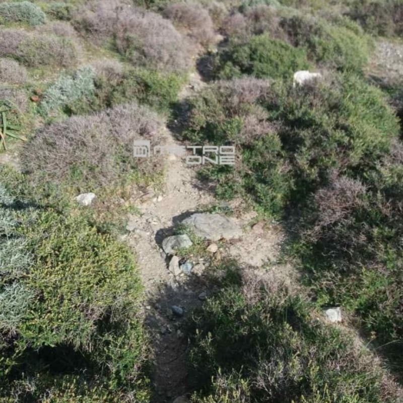 Αγροτεμάχιο στην Άνω Γαύριο, Άνδρος — Φωτογραφία 3 από 3