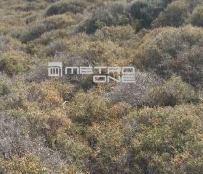 Αγροτεμάχιο στην Άνω Γαύριο, Άνδρος — Φωτογραφία 1 από 3
